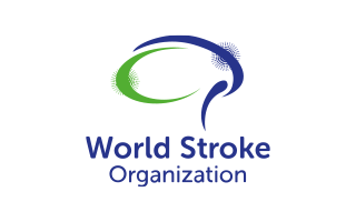 partners_World-Stroke-Organization